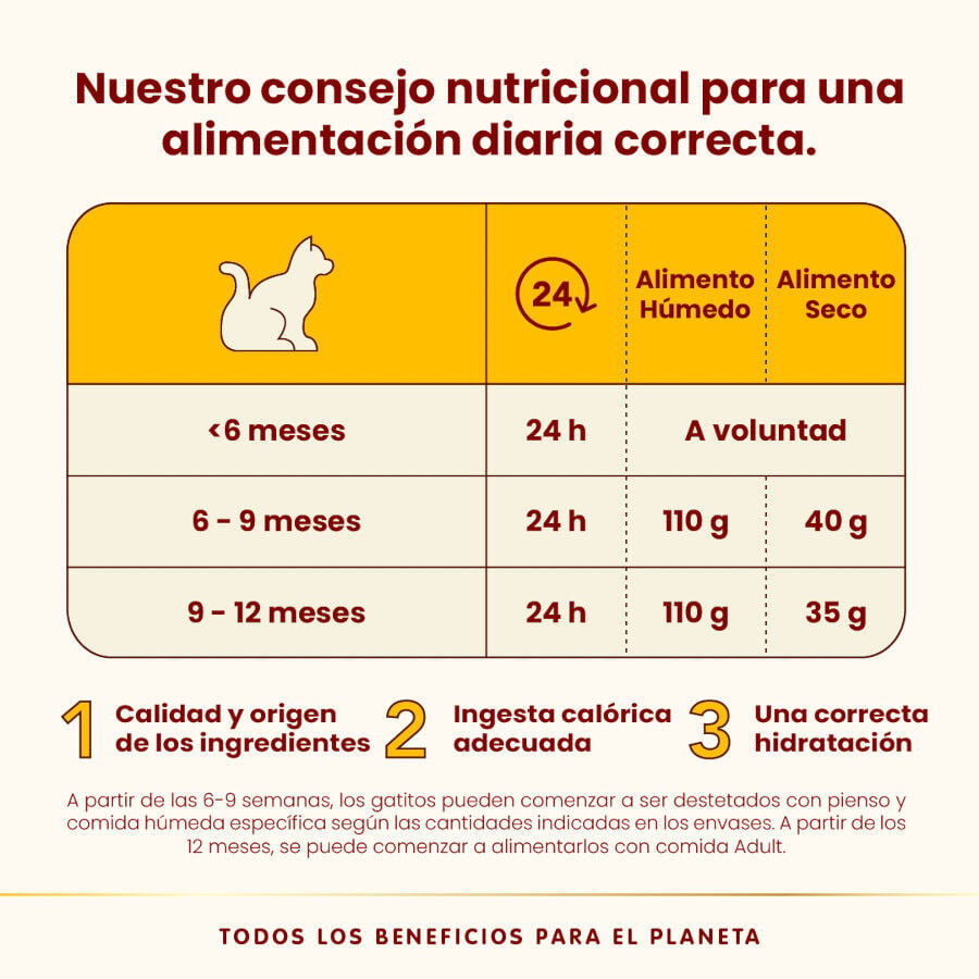 55 g Almo Nature Kitten HFC Pollo sobre para gatos&nbsp;, , large Imagen numero 4